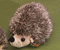 Förster Stofftiere 1034 Igel mittel 23cm