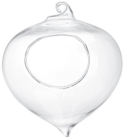Jarrón colgante, jarrón de cristal, maceta, contenedor de plantas suculentas, jarrón de cristal colgante, decoración del hogar y jardín