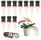 JurciCat Arrosage Automatique Interieur Distributeur Eau Plante pour les Plantes D'intérieur et D'extérieur Plantes en pot Plantes de jardin Pots de fleurs（Blanc -10Pcs）