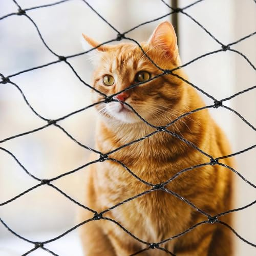 Parain Katzennetz für Balkon,5x2m Katzennetz Drahtverstärkt Katzenschutznetz Schwarz, Balkonnetz für Katzen zur Sicherung von Balkon, Terrassen, Fenstern, Türen, Zäune