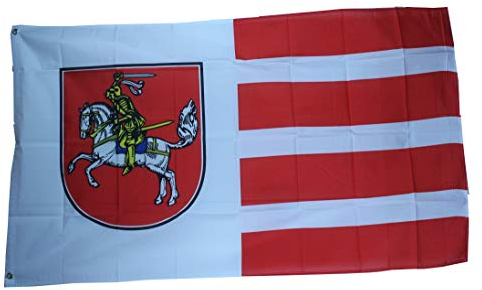 Qualitäts Fahne Flagge Dithmarschen 90 x 150 cm mit verstärktem Hissband