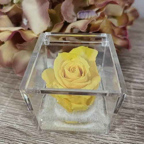 Sindy Bomboniere Rose stabilizzate in Scatola cubo Vari Colori con Gel e Sabbia (Gialla)