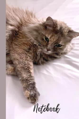 Notebook: Cat