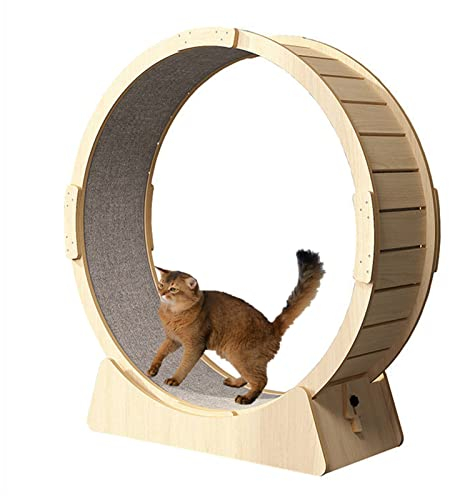 DOZPAL Cat-Heimtrainer für den Innenbereich, Cat-Laufbandrad mit austauschbaren Greifpolstern, geräuscharme TPE-Rollen für Haustiere, reibungsloser Lauf – einfache Montage,XL