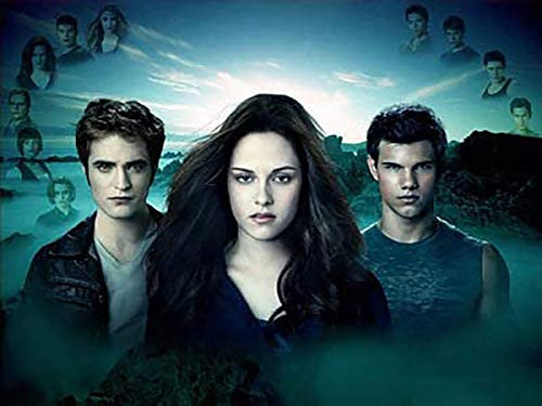 VAKUUM 5D Vampire Diaries Diamond Painting Kit for Adults Diamond Art Painting by Numbers with Gemstone Drill and Dot 50 * 60cm5D181m