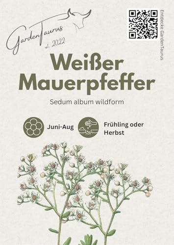 Weißer Mauerpfeffer, 10 g für ca 200 m², Sedum album Samen wildform, Bodendecker für Steingärten Heidegärten und Dachbegrünung