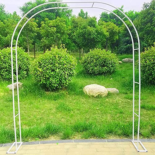 Arche de jardin en métal blanc pour diverses plantes grimpantes - Grande arche de 1,2 x 2,2 m pour jardin, pelouse et arrière-cour - Taille 2 x 2,3 m