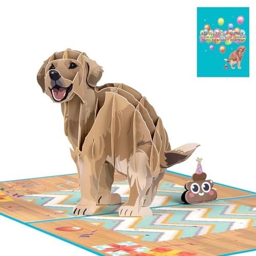 Hierein Pop Up Karte Geburtstag, Hund Geburtstagskarte mit Umschlag, Lustige Geburtstagskarte 3D für Mann Frau Mama Beste Freundin, Geburtstag Geschenk für Hundebesitzer Hundeliebhaber