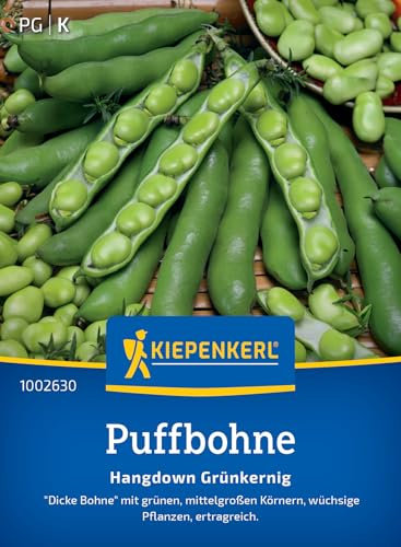 Kiepenkerl Puffbohnensamen Hangdown Grünkernig 1002630 - Große Körner, ideal für Frischverzehr & Einfrieren, grünkernige Bohnensamen, ertragreich