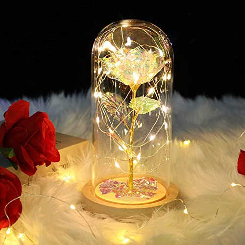 ADAZ Geschenke für Frauen,Ewige Rose im Glas mit LED-Licht,Geschenk für Sie Mutter Freundin Frau,Künstlich Rose Blumen in glaskuppel auf Muttertags Valentinstag Jubiläum Weihnachten