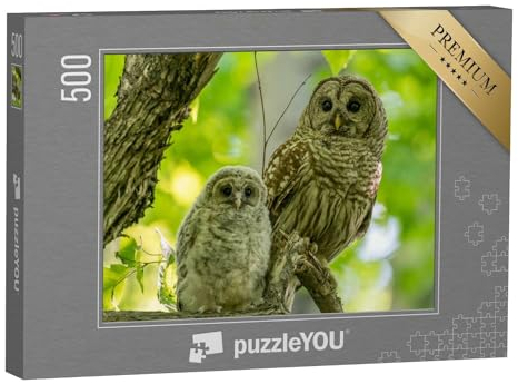 puzzleYOU: Puzzle 500 Teile „Erwachsene und Junge Sperbereulen sitzen im Frühsommer auf einem AST, Kanada“ – aus der Puzzle-Kollektion Vögel, Eulen, Exotische Tiere & Trend-Tiere