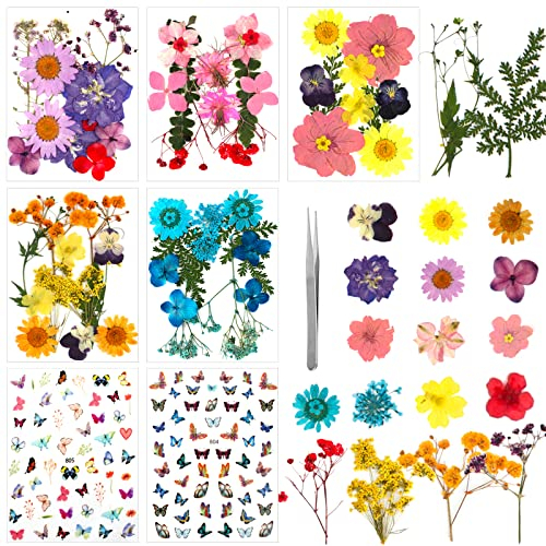 Natürliche Gepresste Blumen 62 Stück DIY Getrocknete Blumen Gemischte Gepresste Blätter, Trockenblumen Gepresste Blumen für Basteln Epoxidharz Scrapbooking Deko