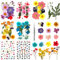 Natürliche Gepresste Blumen 62 Stück DIY Getrocknete Blumen Gemischte Gepresste Blätter, Trockenblumen Gepresste Blumen für Basteln Epoxidharz Scrapbooking Deko