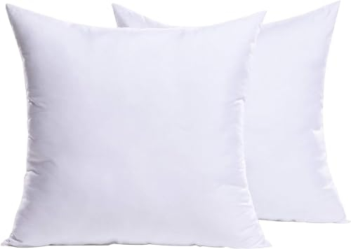 MIULEE Kissen 55x55 cm Füllung 2er Set, Waschbare Kissenfüllung Sofakissen, Polster Innenkissen Dekokissen, Polyester Füllkissen als Couchkissen, Sofa Kissen, Zierkissen, Kisseninlet 55 x 55
