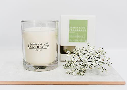 James & Co No.14 - Candela in vetro naturale profumato al gelsomino (gelsomino e giglio bianco), 255 ml di durata fino a 35 ore
