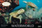 Waterworld - Kalender 2024 - Panorama-Format - Korsch-Verlag - Fotokalender - Fotokunst - 58 cm x 39 cm