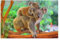 Klassische Puzzle für Erwachsene Teenager Freizeit Spaß Spiel Spielzeug Geeignet，Koala-Mutter ，Lernspielzeug FüR Kinder Papier 38x26
