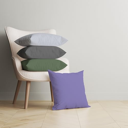 ggaimwf Einfarbig Samtkissenbezüge für Sofa Innere Winterfarbe Grau Grün Lila Kissen für das Bett Handgefertigt Quadrat Kissenhüllen mit unsichtbarem Reißverschluss, 50x50cm, 4er-Set