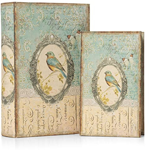Moritz 2er Set Buchtresor Buchattrappe Deko Vogel im Spiegel Buch Safe Box Schatulle Buchhülle Geldversteck