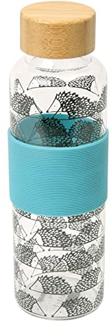 Scion Gourde en verre à pics Aqua 500 ml