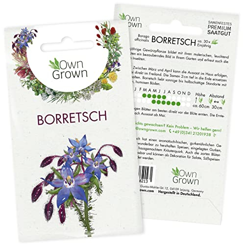 Borretsch Samen: Borretsch Saatgut zur Anzucht von 30 Kräuter Pflanzen – Wildkräuter Samen – Borretsch Pflanze – Kräuter Saatgut – OwnGrown Boretsch