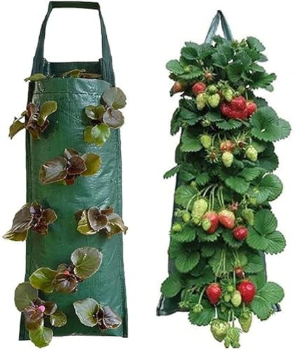 8-Loch-hängender Garten-Pflanztopf für Blumen, Erdbeeren, Gurken, Kürbis, Kirschtomaten, Pflanzen und mehr Leichter hängender Pflanztopf für Balkone, Veranden, Terrassen und mehr