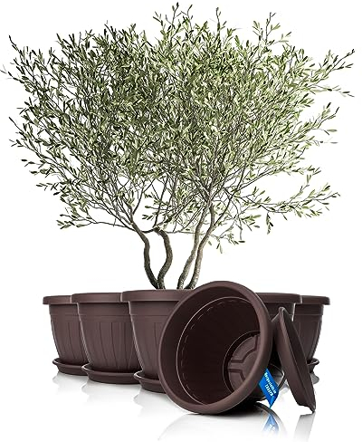 BigDean 6X Blumentopf mit Untersetzer rund ø50xH38 cm braun - wetterfester Pflanzkübel - Wasserablauf UV-beständig aus bruchsicherem Kunststoff - Innen + Außen geeignet - Made in Europe