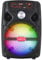 ZYMY Bluetooth Speaker Loud with Lights and Microphone, PA System Party Speaker Support USB AUX TF Card FM Radio