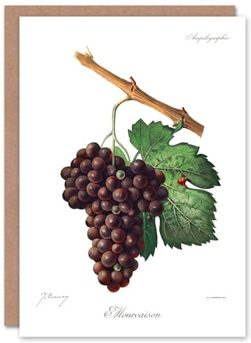 Artery8 Jules Troncy Art Card Wine Grapes Mourvaison Ampelography