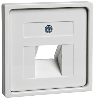 Elso 366404 für 1xRJ45 ohne Joy reinweiß Zentralplatte