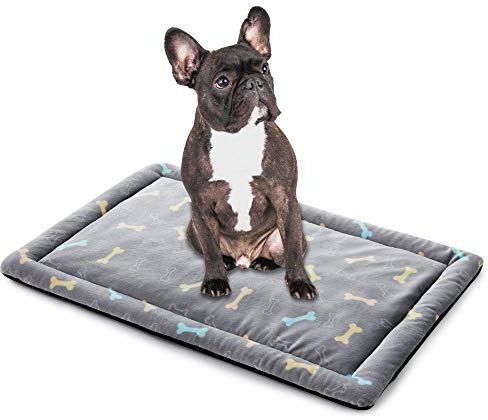 ALLISANDRO Hundematte waschbare Hundedecke hygienische rutschfeste und weiche Decke 80x60cm 100x70cm 120x70cm mit kuscheligem Micro Plüsch Oberfläche Leinwand Zurück Duplex-Einsatz Grau