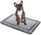 ALLISANDRO Hundematte waschbare Hundedecke hygienische rutschfeste und weiche Decke 80x60cm 100x70cm 120x70cm mit kuscheligem Micro Plüsch Oberfläche Leinwand Zurück Duplex-Einsatz Grau