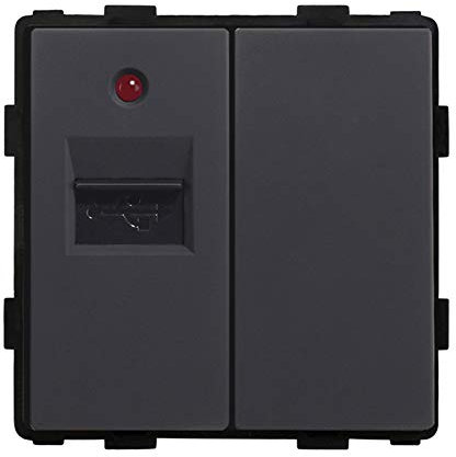 BSEED DIY 1/2 USB Ethernet Steckdose Schwarz Ladesteckdose