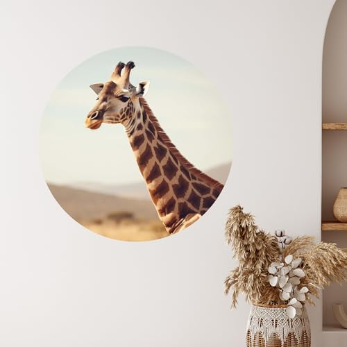 GRAZDesign Wandtattoo Giraffe Afrika rund - Tapete selbstklebend - Wandaufkleber Wohnzimmer, Schlafzimmer, Flur - 57x57cm