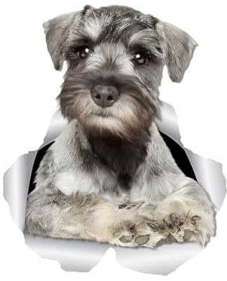 Autoaufkleber Schnauzer Hund Aufkleber 15cm(5.9 Inch) Schnauzer Hund Car Sticker 3D Zerrissen Autoaufkleber Wasserdichte Reflektierende Aufkleber Lustig Dekor