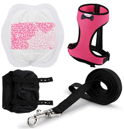 Yesito Chicken Harness Hen size with 6-foot Matching belt, Comfortable, Breathable, Small Size, Suitable for Chicken, Duck or Goose Suitable for Weight about 2.3-3.8Pounds, Green (Months, Pink)