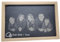 myduct - Placa de pizarra con foto grabada – Pizarra personalizada (300 x 200)