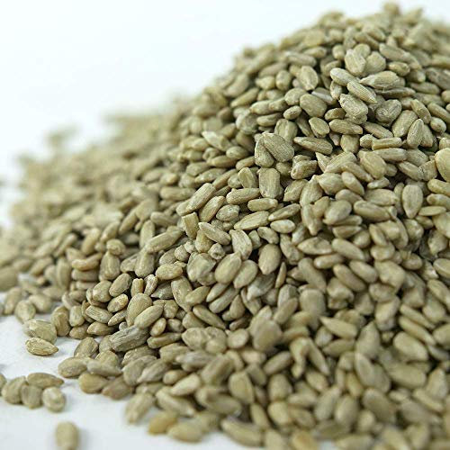 SQUAWK Sunflower Hearts Wild Bird Food | Finest Bakery-Grade Garden Seed Mix | Husk Free and Dehulled No Mess Seeds | Nutritious, Natural and Healthy Feed Mixture | Balanced Vitamin Recipe (5KG)