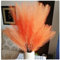 XIZHI 10 Pcs Künstliches Pampasgras, 80 cm, künstliches Pampasgras – Kunstpampasgras für Zuhause, Urlaub, Bauernhaus, Tischdekoration und Heimdekoration (Orange)
