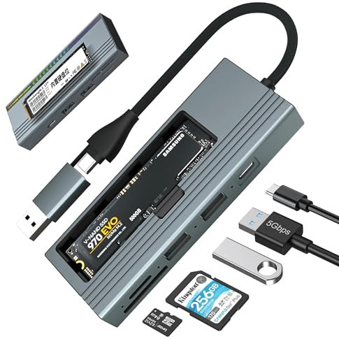 Reagle USB-C Hub & M.2 - Carcasa para SSD (100 W, USB 3.2 Gen 2, lector de tarjetas SD/microSD, carcasa de aluminio con LED RGB, para NVMe SATA M.2 SSD, transmisión de 10 Gbps