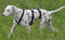 Feltmann NoExit Brustgeschirr ausbruchsicher, Soft, Uni, 60-80cm, 25mm