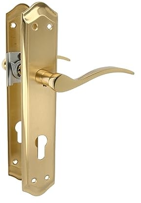 Amig - Juego de Manillas de Placa - Adecuado para Puertas de Paso de Interior y Exterior con Manivela Cómoda, Elegante y Atemporal - Con Bocallave - Latón - Color Dorado - 256 x 48 mm