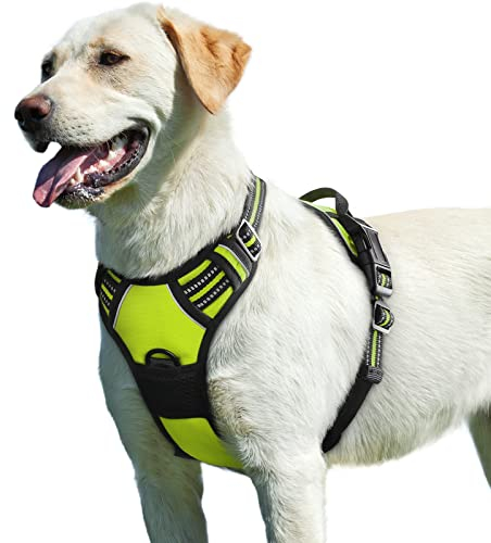 Eagloo Hundegeschirr Grosse Hunde, Anti Zug Hundegeschirr mit Reflexstreifen und Kontrolle, Verstellbar und Einstellbar Geschirr Hund Groß, Brustgeschirr für Labrador, Grün, L