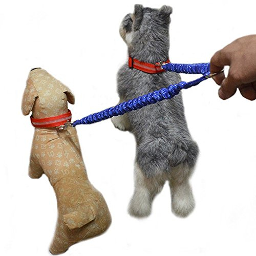 Doppelte Hundeleine, Hundeleine für zwei Hunde 2-Wege keine Verwicklung Doppelleine Nylon Lang Ideal zum Wandern für kleine bis große Hunde