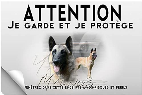 Stick Attention au chien malinois noir