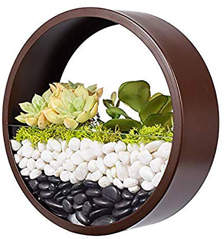 Murale Planteur,DéCoration Mur Pots à Suspendre MéTal Ronde Pots De Fleurs à Suspendu Verre Mural JardinièRe Clair Vase pour Artificielles Fleur,Cactus,Succulentes,DéCor pour Salon Salle à Manger