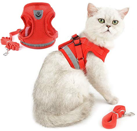 Ranphy Katzengeschirr Mit Leine Ausbruchsicher Verstellbar Reflektierend Gepolstert Brustgeschirr Welpen Welpengeschirr Step In Weichem Netzstoff Geschirr für Kleine Katzen Erwachsene Katzen Rot XS