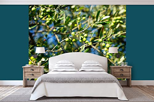 Glücksvilla - Fototapete, selbstklebend (240 x 300 cm (BxH) - div. Maße - Vlies-Tapete - Wand-Deko - Olivenbaum - Olive Frucht Griechenland Pflanze Natur Garten Botanik grün Fotografie x