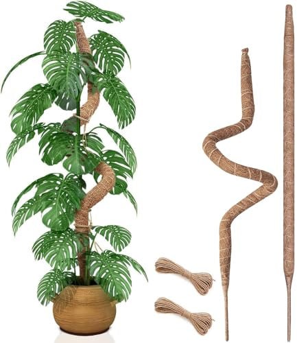 2er-Pack 70 cm Moosstangen, biegbare Moosstangen für Monstera-Pflanzen, hohe Moosstangen für Kletterpflanzen im Innenbereich, große Moosstangenstütze, Gartenspalierstäbe für Pflanzen