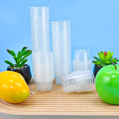 SLTAXAR 100 Stück Schnapsgläser Plastik Schnapsbecher 3cl/ 30ml Shotgläser Plastik Stamperl 3cl Plastikbecher Schnaps Transparente Shot Becher Plastik 3cl Trinkbecher Kurz für Party Spaß Hochzeiten